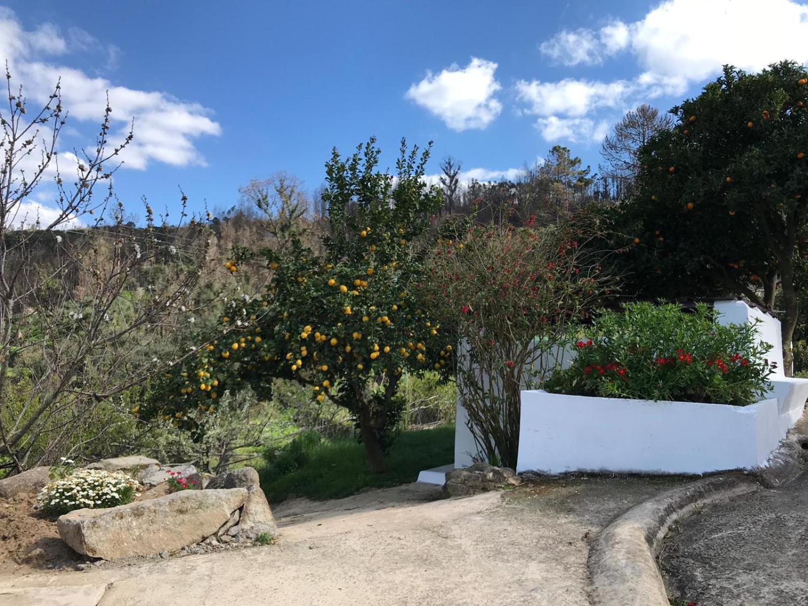 Casas Bemposta Villa Monchique Eksteriør billede