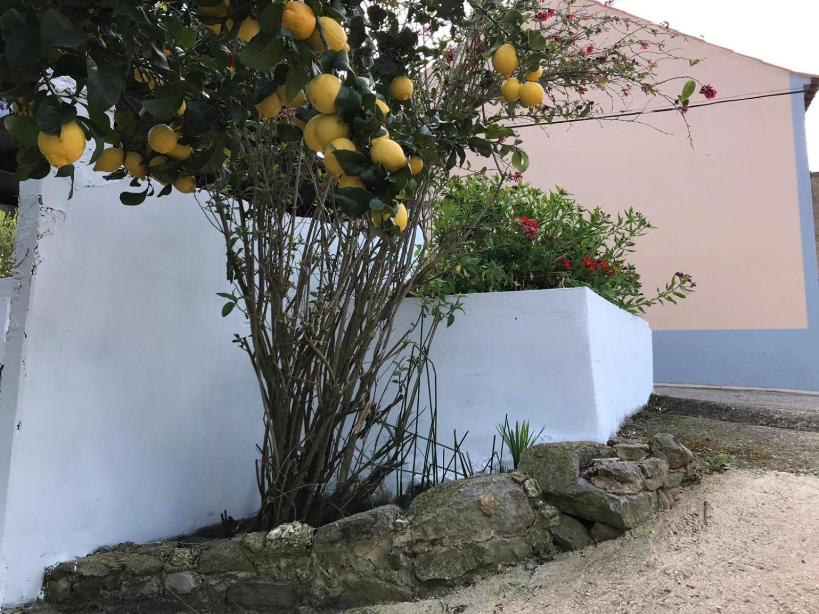 Casas Bemposta Villa Monchique Eksteriør billede