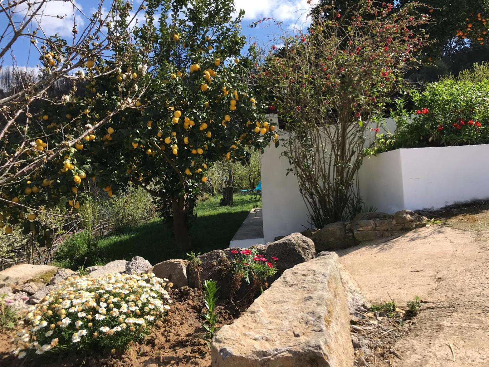 Casas Bemposta Villa Monchique Eksteriør billede